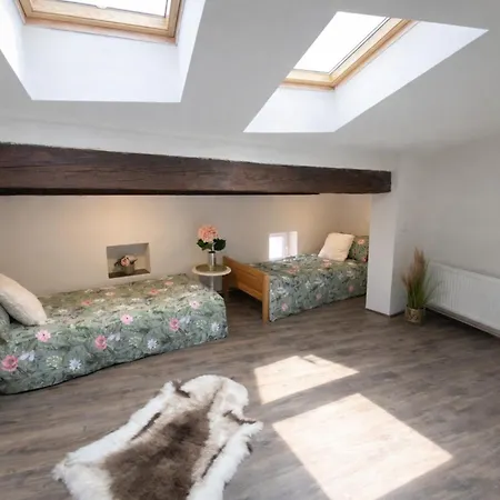 Old Town Loft - Cz